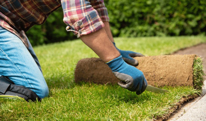 Regular Schmoez Lawn & Landscaping